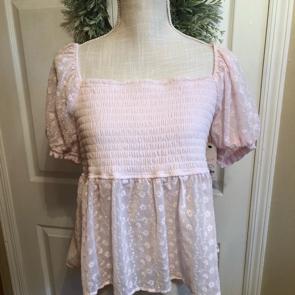 Francesca’s Pink Brand new with tags Blush pink eyelet top, see through bottom